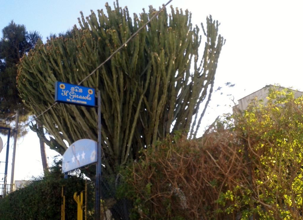 B&B Il Girasole Noto Zewnętrze zdjęcie