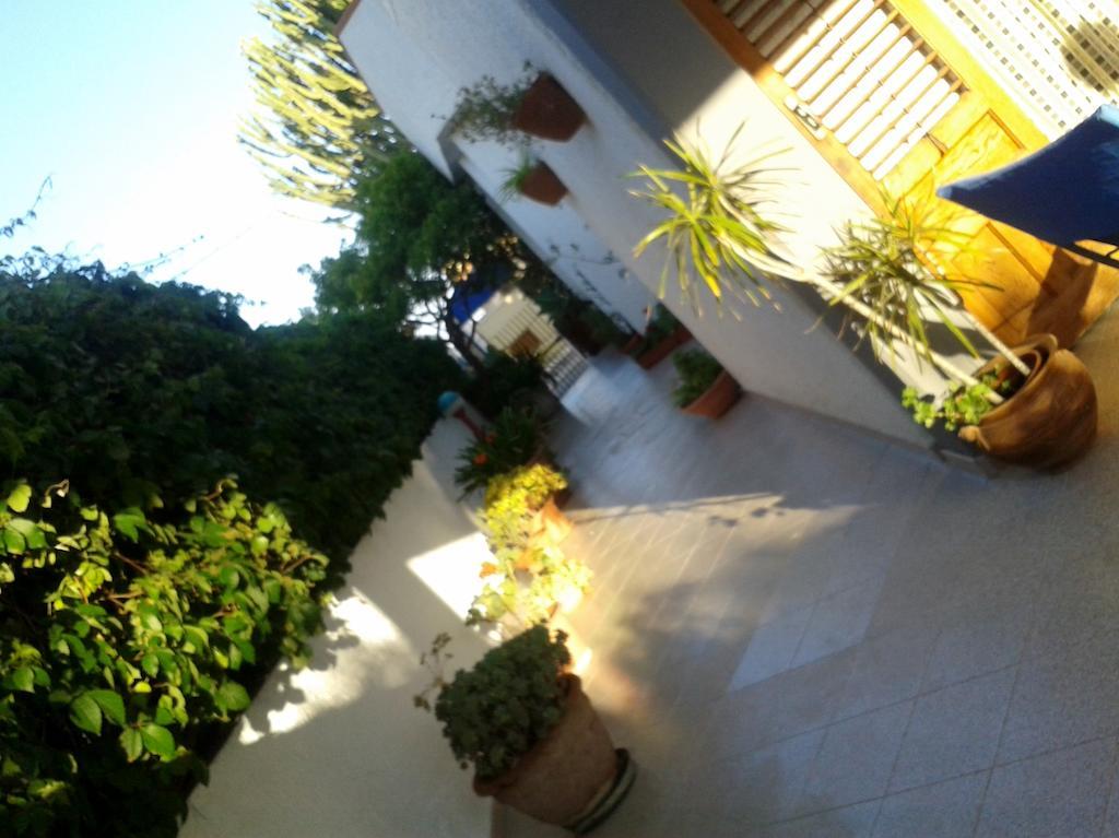 B&B Il Girasole Noto Zewnętrze zdjęcie