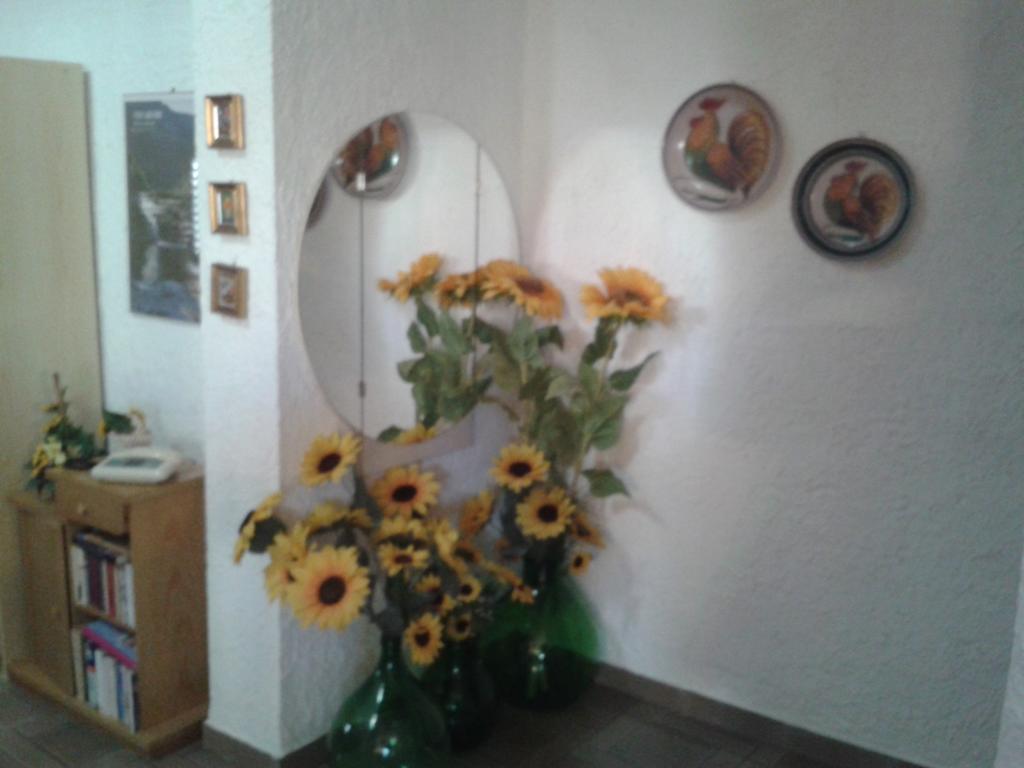 B&B Il Girasole Noto Zewnętrze zdjęcie