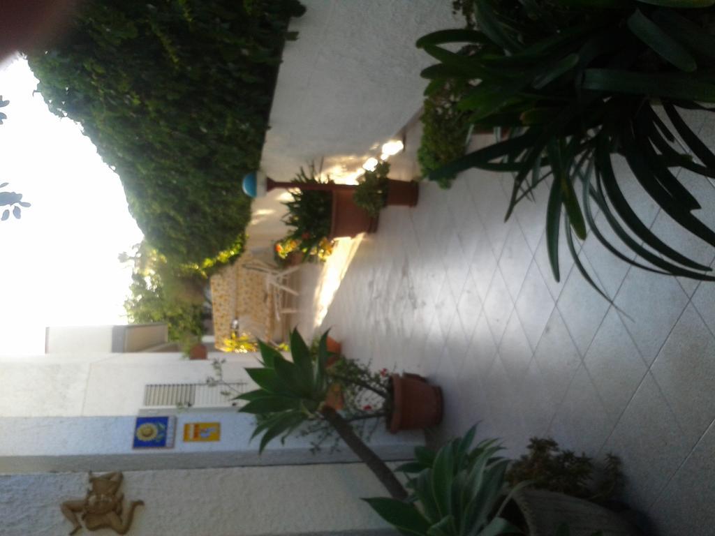 B&B Il Girasole Noto Zewnętrze zdjęcie
