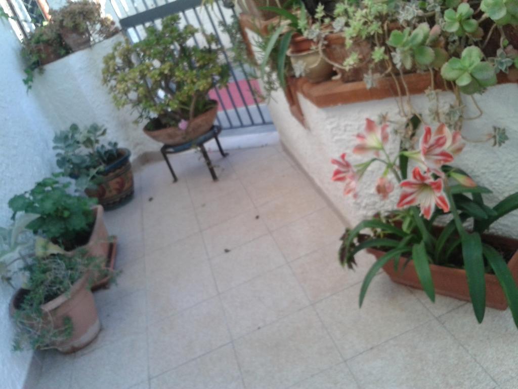 B&B Il Girasole Noto Zewnętrze zdjęcie