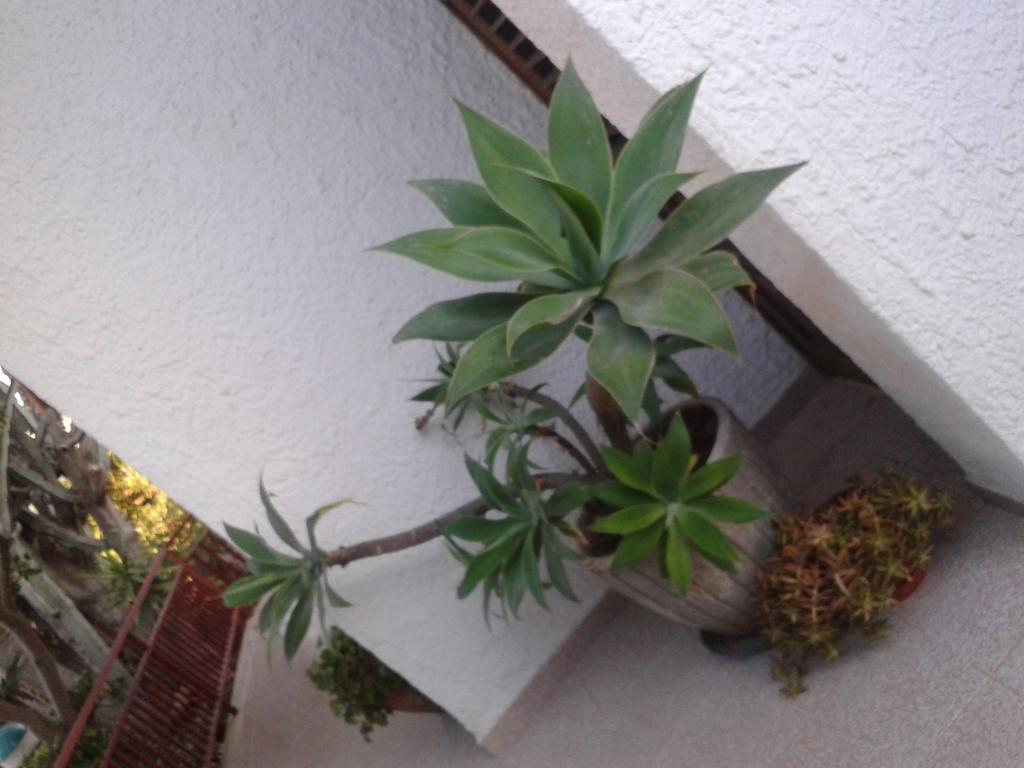 B&B Il Girasole Noto Zewnętrze zdjęcie