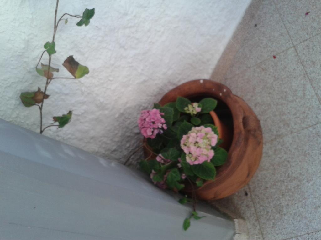 B&B Il Girasole Noto Zewnętrze zdjęcie