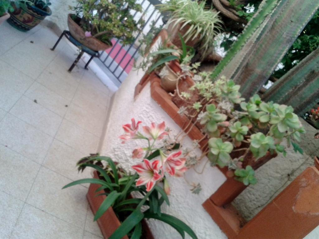 B&B Il Girasole Noto Zewnętrze zdjęcie